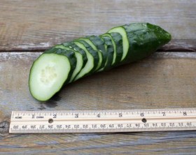 Tante Alice uborka - Quebec-i tájfajta, Cucumis sativus, uborka